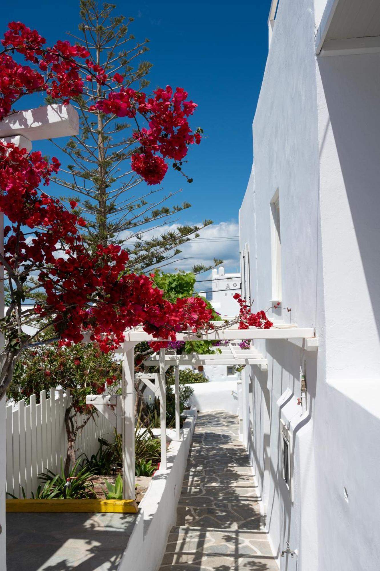 Mykonos Town Boutique Di Vito酒店 外观 照片