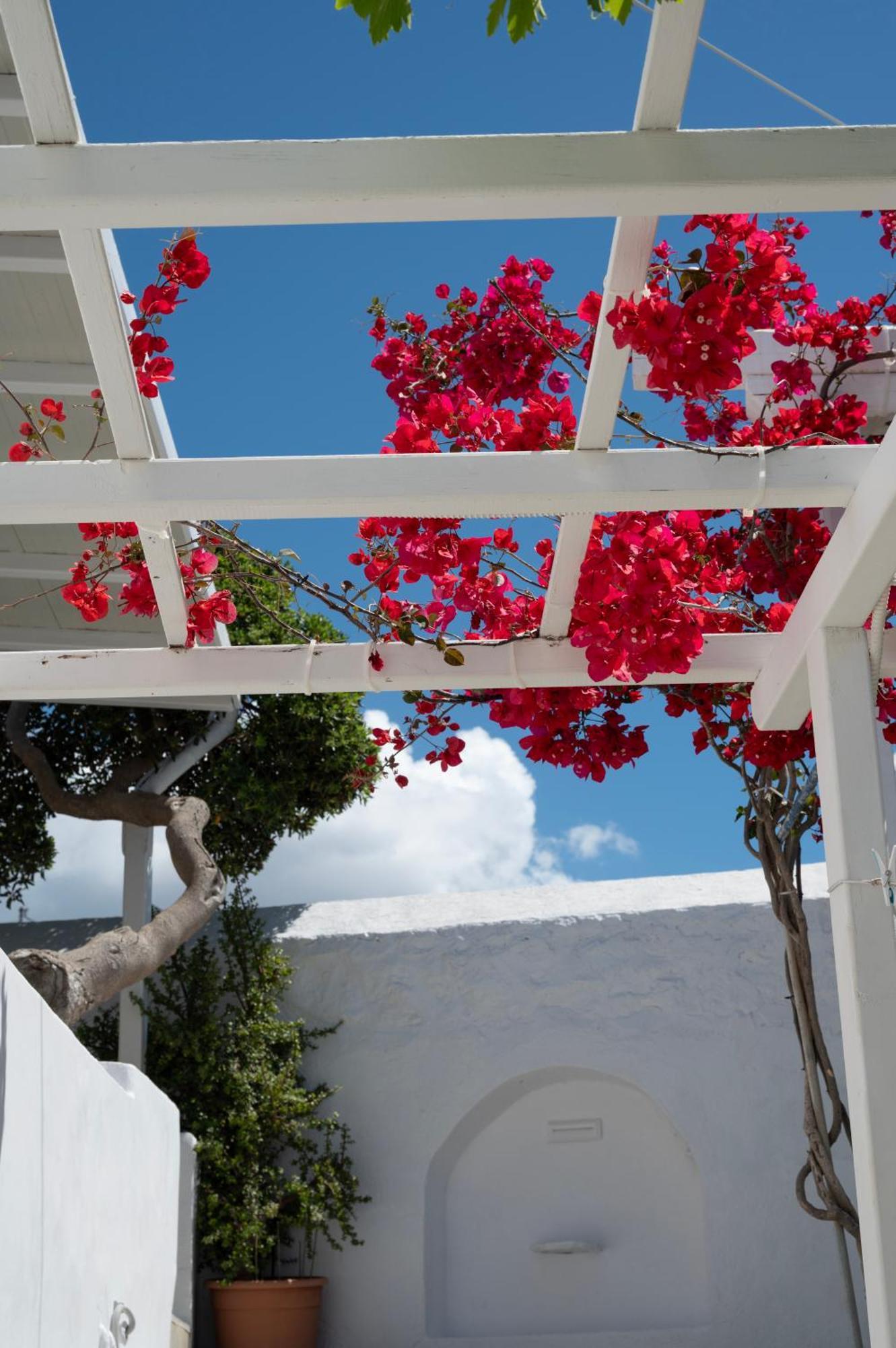 Mykonos Town Boutique Di Vito酒店 外观 照片