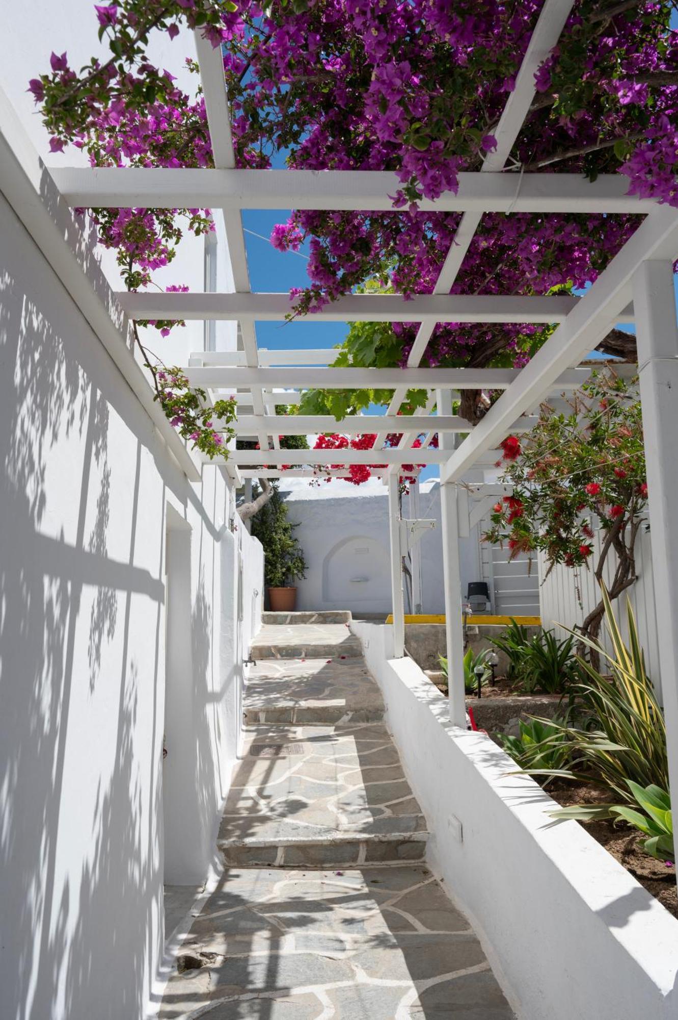 Mykonos Town Boutique Di Vito酒店 外观 照片