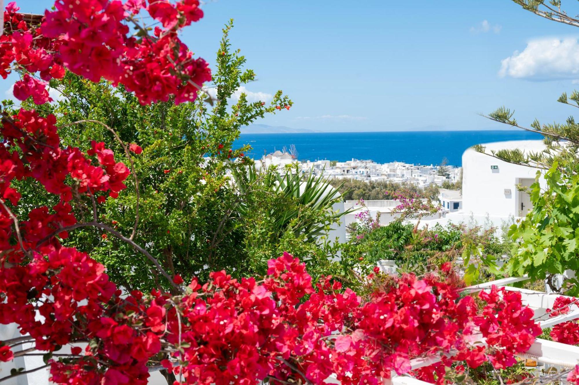 Mykonos Town Boutique Di Vito酒店 外观 照片